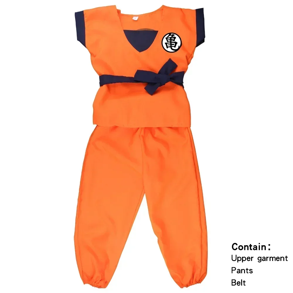 Costume di Halloween per Adult - Men'S Accessories Japan recensione e prezzo